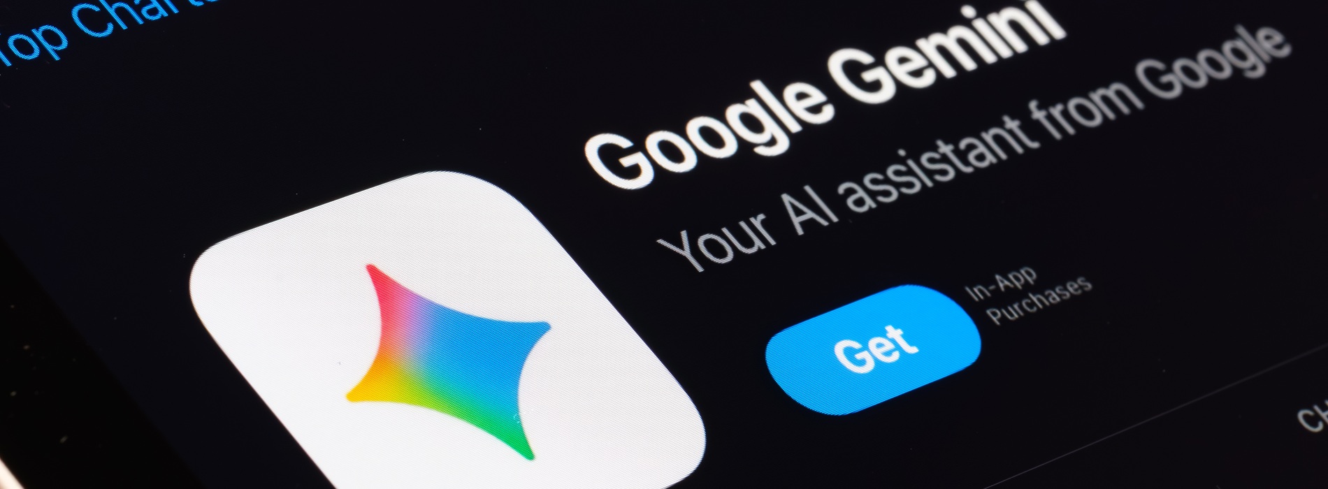 Google Gemini
